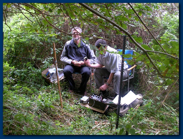 600x449 pixels (232K)